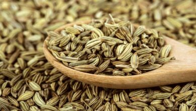 The Hidden Health Benefits of Eating Fennel Seeds After Meals
