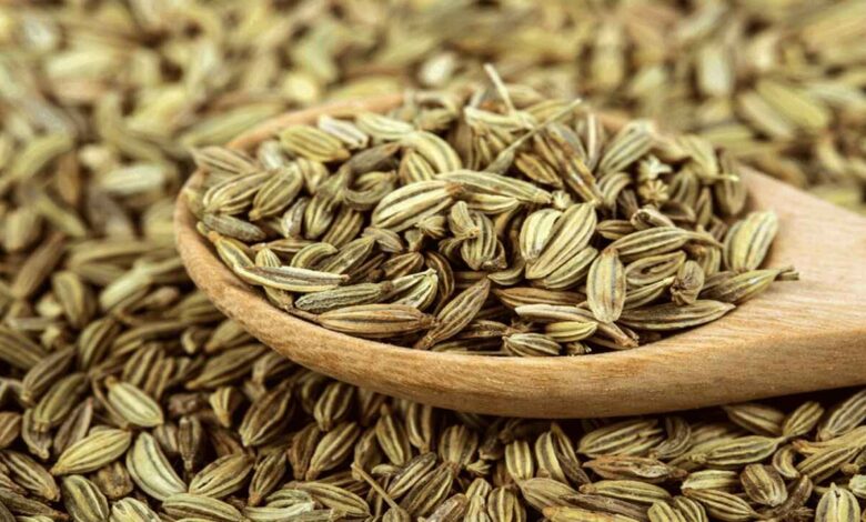 The Hidden Health Benefits of Eating Fennel Seeds After Meals