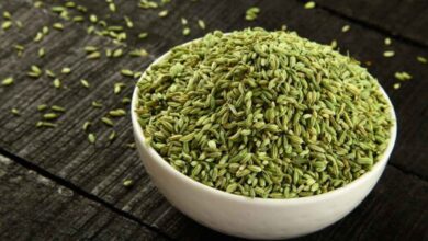 The Hidden Health Logic Behind Serving Fennel Seeds After Meals