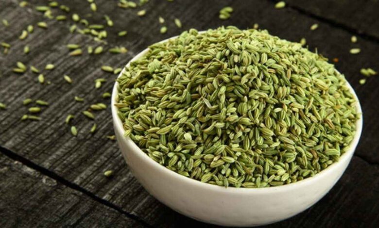 The Hidden Health Logic Behind Serving Fennel Seeds After Meals