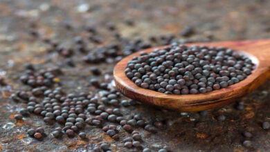 Tiny Mustard Seeds Pack Big Health Benefits Experts Say