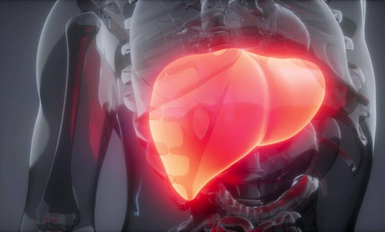 Two Simple Lifestyle Changes Help Reverse Fatty Liver in Six Months Doctors Highlight Natural Recovery Path