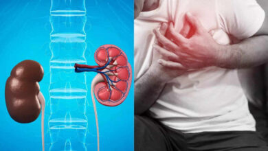 Warning Signs Your Kidneys Are Struggling Before It’s Too Late