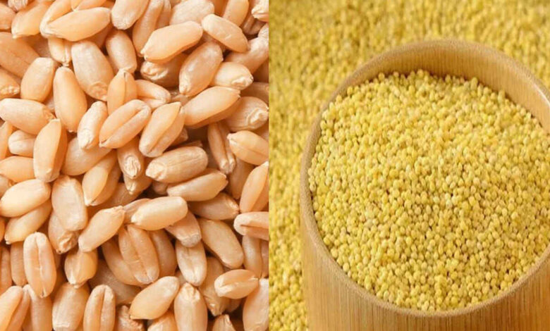 Which Is Better for Breakfast Korra or Wheat Rava