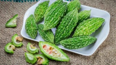 Why Bitter Gourd Deserves a Place on Your Plate Despite Its Taste