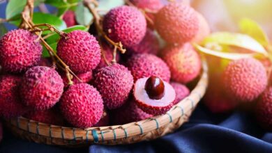 Why Lychee Is the Summer Fruit You Should Not Ignore