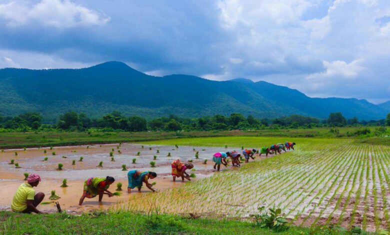Bharat Vistaar AI to Guide Farmers as Centre Pushes Tech Driven Agriculture