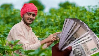 PM Kisan 22nd Installment at Risk for Millions of Farmers Over Aadhaar Linking