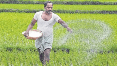 Telangana Farmers Embrace AI Driven Smart Agriculture Support