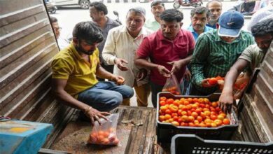 Farmers Give Away Tomatoes as Prices Crash in Mahabubabad Market