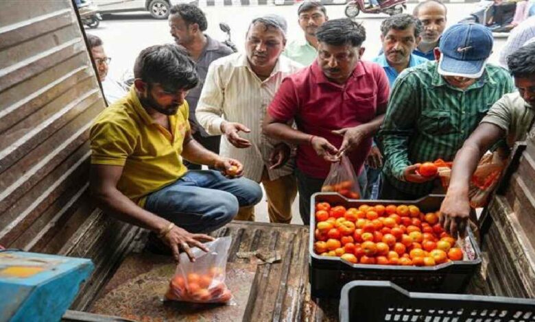 Farmers Give Away Tomatoes as Prices Crash in Mahabubabad Market
