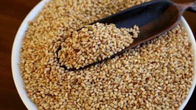 A Spoon of Sesame Seeds in the Morning May Offer Surprising Health Benefits