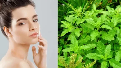 Achieve Glowing Skin Naturally with a Tulsi Face Pack for Acne, Tan, and Dark Circles