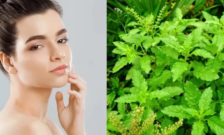 Achieve Glowing Skin Naturally with a Tulsi Face Pack for Acne, Tan, and Dark Circles