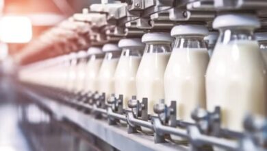 Andhra Pradesh Milk Adulteration Tragedy Leaves 16 Dead After Ethylene Glycol Contamination