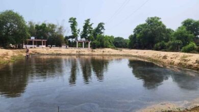 Andhra Pradesh tragedy as two students die after saving friends from drowning