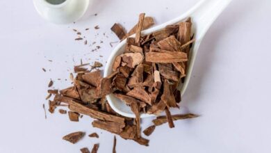 Arjuna Bark Gains Attention as Traditional Remedy for Cholesterol and Heart Health