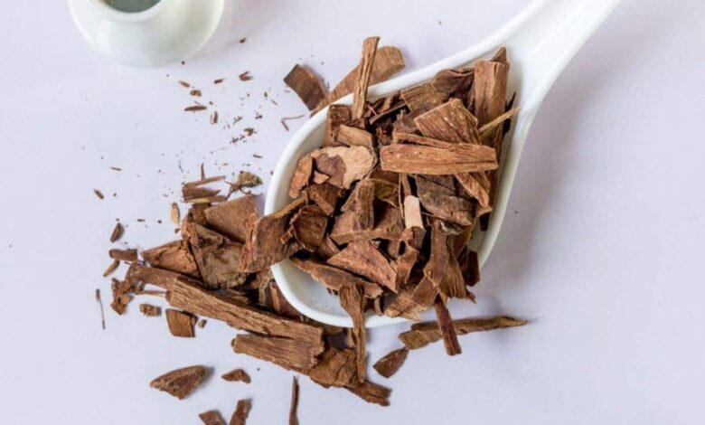 Arjuna Bark Gains Attention as Traditional Remedy for Cholesterol and Heart Health