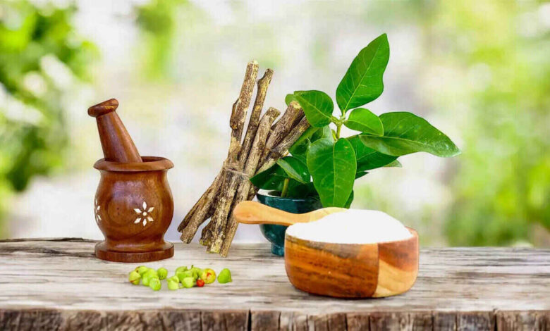 Ayurvedic Herbs Every Woman Should Include for Better Health and Hormonal Balance