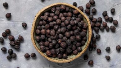 Black Chickpeas Emerging as a Powerful Superfood for Daily Nutrition and Energy