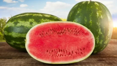Can Diabetics Eat Watermelon Without Spiking Blood Sugar Levels
