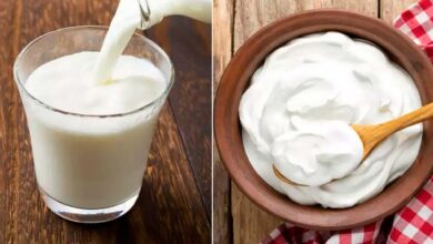 Curd or Buttermilk After Meals Experts Explain Which Is Better for Digestion and Summer Health