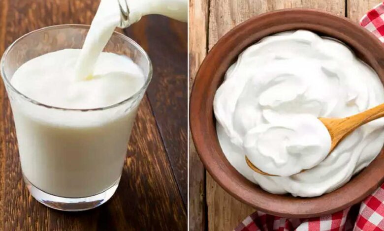 Curd or Buttermilk After Meals Experts Explain Which Is Better for Digestion and Summer Health