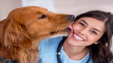 Doctors Warn Dog Licks Can Spread Dangerous Infections Including Rabies