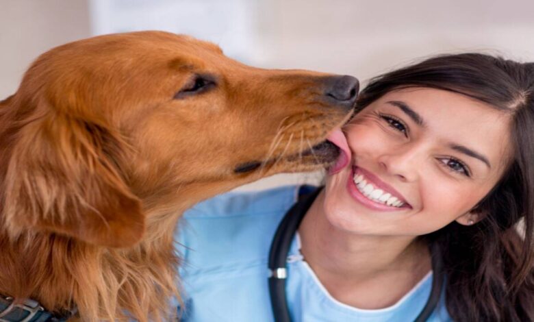 Doctors Warn Dog Licks Can Spread Dangerous Infections Including Rabies