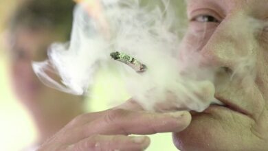 Doctors Warn Smoking Can Damage Every Organ in the Body and Raise Heart Risks