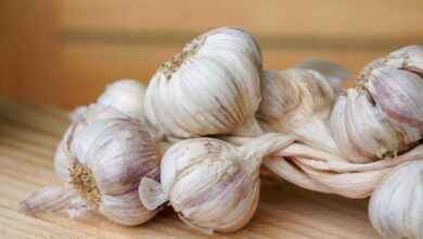 Eating One Raw Garlic Clove Daily May Bring Noticeable Health Changes Within Weeks