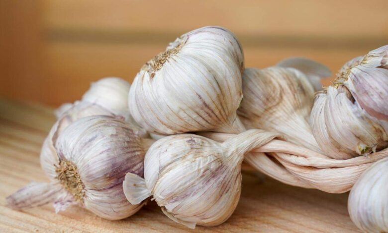 Eating One Raw Garlic Clove Daily May Bring Noticeable Health Changes Within Weeks