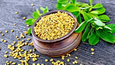 Fenugreek in Your Kitchen May Help Strengthen Bones and Ease Joint Pain