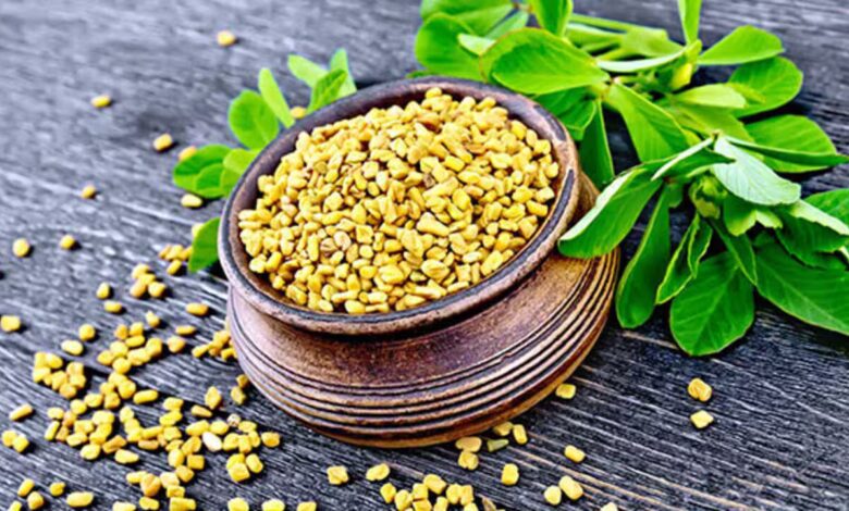 Fenugreek in Your Kitchen May Help Strengthen Bones and Ease Joint Pain