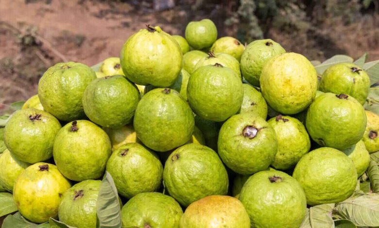 Guava May Not Suit Everyone Experts Warn of Health Risks for Some Individuals
