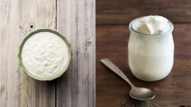 Health Alert Why Curd Is Not Suitable for Everyone Despite Its Benefits