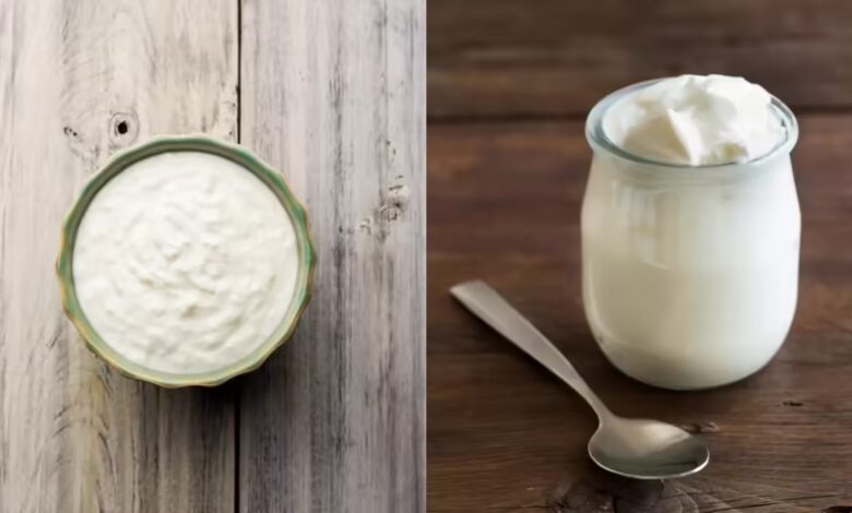 Health Alert Why Curd Is Not Suitable for Everyone Despite Its Benefits
