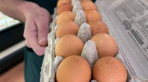 Health Alert on Expired Eggs as Experts Warn of Hidden Risks