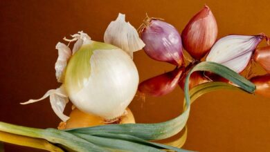 Health Experts Recommend Raw Onions in Summer Diet for Natural Cooling and Better Immunity