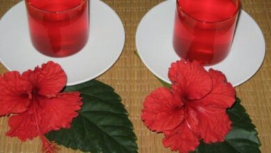 Hibiscus Juice: The Summer Drink That Boosts Immunity and Promotes Glowing Skin