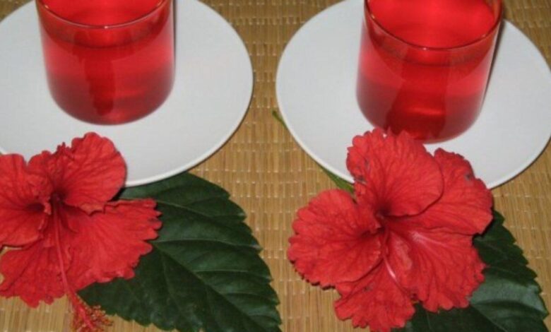 Hibiscus Juice: The Summer Drink That Boosts Immunity and Promotes Glowing Skin