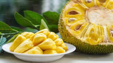 Is Jackfruit Safe for Diabetics Experts Explain Benefits and Risks