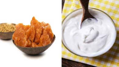 Morning Curd and Jaggery Mix Gains Attention as Simple Fix for Digestive Troubles