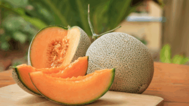 Muskmelon Gains Popularity as a Natural Summer Health Booster