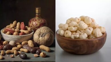 Peanuts or Makhana Which Snack Helps Burn Fat Faster Experts Explain the Difference