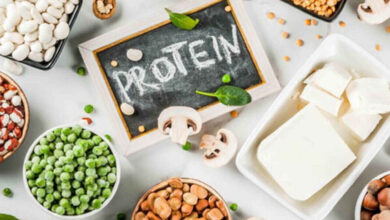 Protein Rich Foods Gain Attention as Experts Stress Their Role in Fighting Fatigue and Improving Daily Health