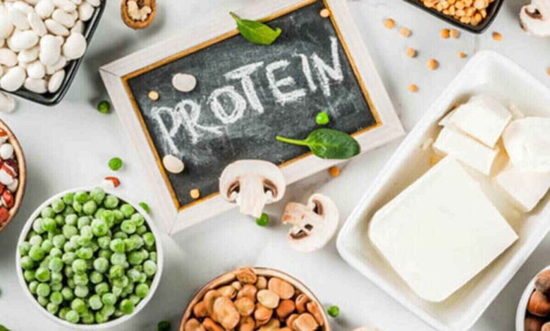 Protein Rich Foods Gain Attention as Experts Stress Their Role in Fighting Fatigue and Improving Daily Health