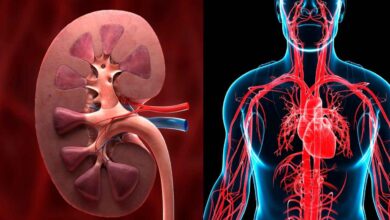 Rapid Weight Loss Risks: Why Your Kidneys and Liver Could Be in Danger