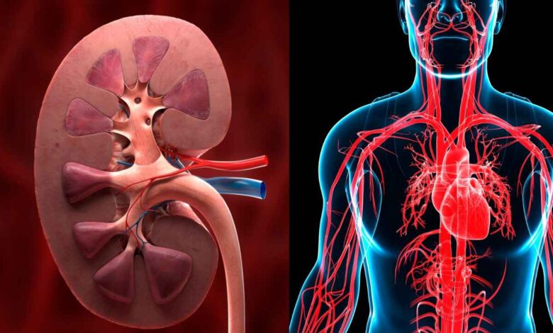 Rapid Weight Loss Risks: Why Your Kidneys and Liver Could Be in Danger