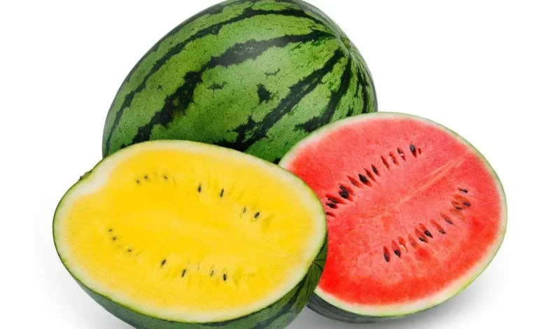 Red or Yellow Watermelon: Which One Packs More Health Benefits for Your Body